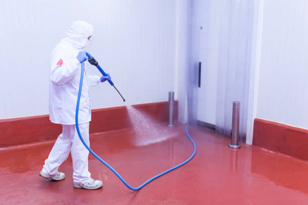 Best Sidewalk and Walkway Cleaning  in Mino, CA