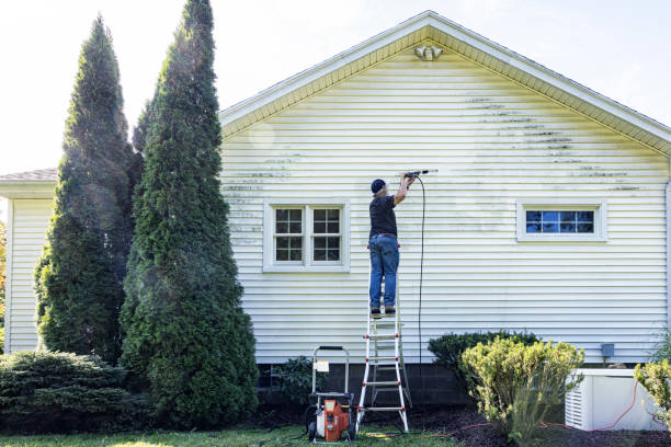 Best Gutter Cleaning  in Mino, CA